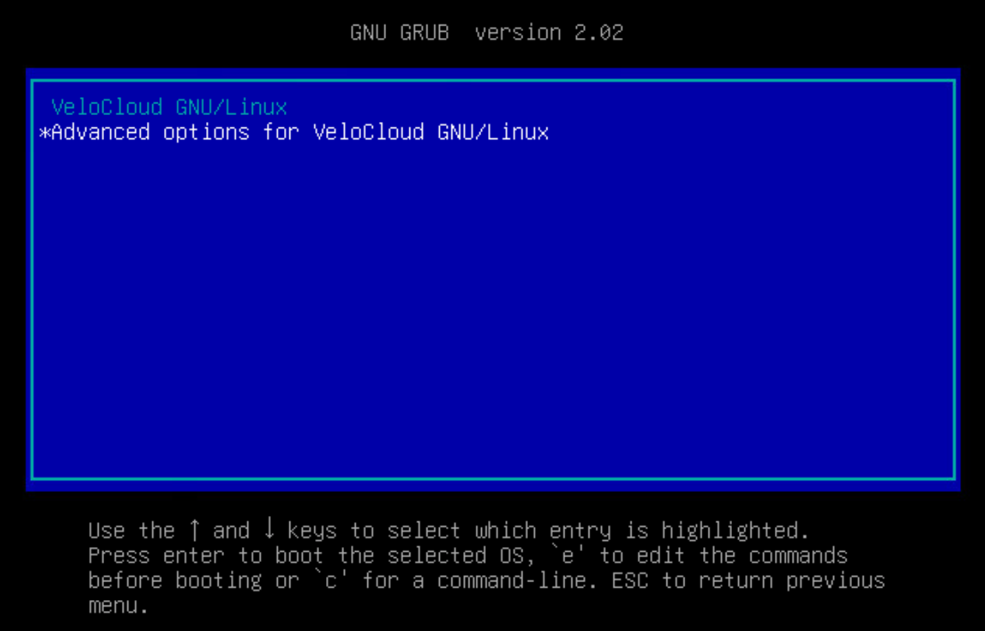 Advanced Options for VeloCloud GNU Linux.png